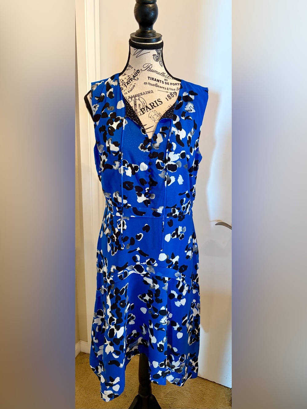 CAbi Blue Floral Print Sleeveless V-Neck Dress